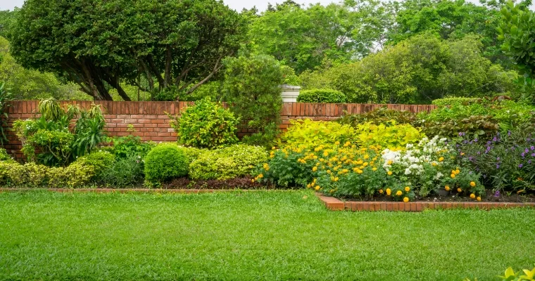 entretien jardin